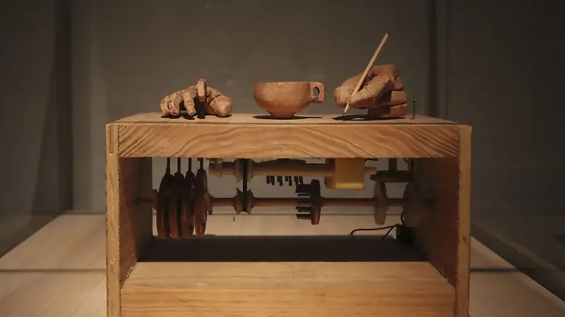 Escuchar la memoria arbórea